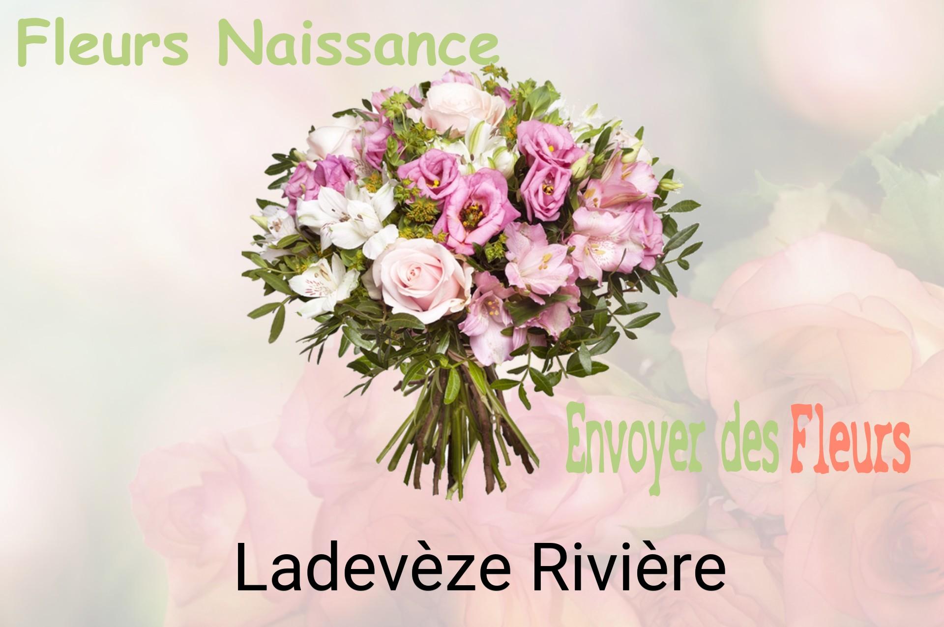 Bouquet de fleurs de naissance livré à Ladevèze-Rivière